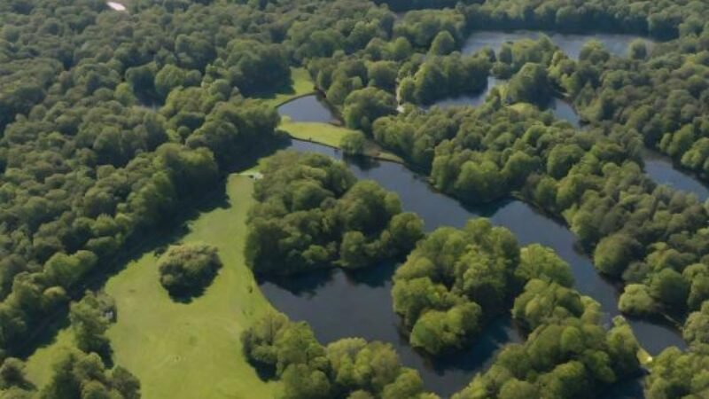 Kingston-Maurward